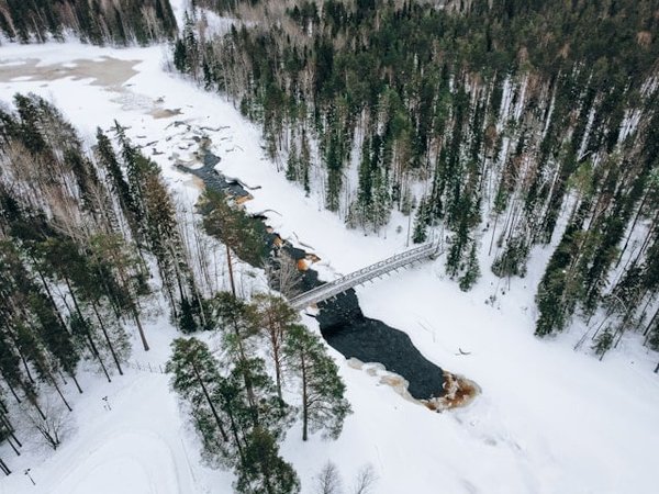 Où trouver des ateliers de sculpture sur glace en Finlande?
